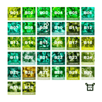 Pure Pixels Refill 1000ct - Palette B (Forest Greens) - PixieCraft